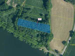 Dražba lesa, Nezdřev, 2662 m2