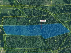 Dražba lesa, Stehlovice, 11078 m2