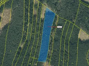 Dražba lesa, Psárov, 15717 m2