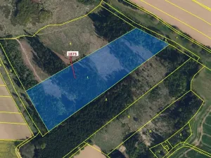 Dražba lesa, Obrataň, 32740 m2