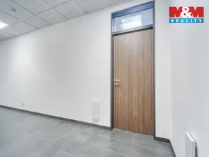 Pronájem kanceláře, Plzeň - Lobzy, Republikánská, 18 m2
