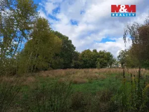 Prodej zemědělské usedlosti, Dolní Pohleď, 210 m2