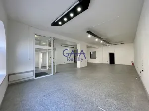 Pronájem obchodního prostoru, Veselí nad Moravou, Zámecká, 184 m2