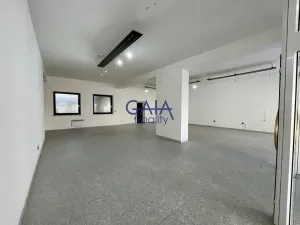 Pronájem obchodního prostoru, Veselí nad Moravou, Zámecká, 184 m2