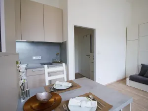 Pronájem bytu 1+kk, Brno, Koliště, 26 m2