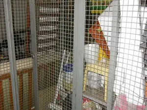 Pronájem bytu 3+1, Kladno, Anglická, 68 m2