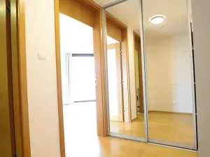 Pronájem bytu 1+kk, Praha - Žižkov, Pitterova, 66 m2