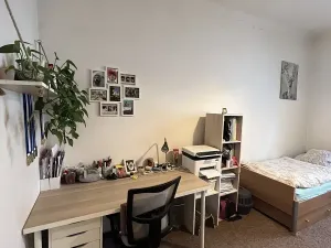 Pronájem bytu 1+1, Praha - Podolí, Na dolinách, 31 m2