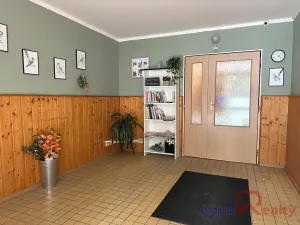 Pronájem bytu 2+1, Sokolov, Mánesova, 60 m2