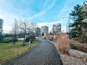 Pronájem bytu 1+kk, Praha - Žižkov, Malešická, 38 m2