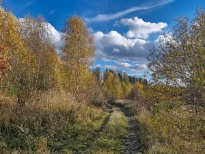 Prodej pozemku, Mezina, 966 m2