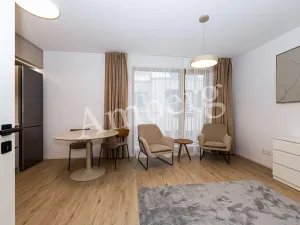 Pronájem bytu 1+kk, Praha - Karlín, Křižíkova, 32 m2