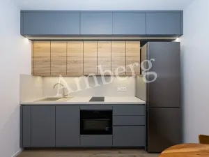 Pronájem bytu 1+kk, Praha - Karlín, Křižíkova, 32 m2