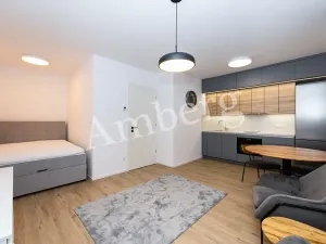 Pronájem bytu 1+kk, Praha - Karlín, Křižíkova, 32 m2