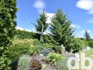 Prodej rodinného domu, Sadov, 366 m2