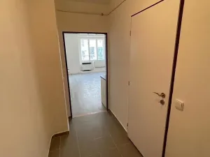 Pronájem bytu 1+kk, Praha - Nusle, Žateckých, 29 m2