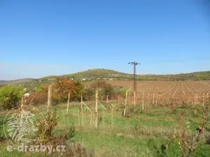 Dražba sadu/vinice, Velké Žernoseky, 2775 m2