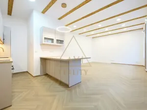Pronájem bytu 2+kk, Praha - Staré Město, Haštalská, 58 m2