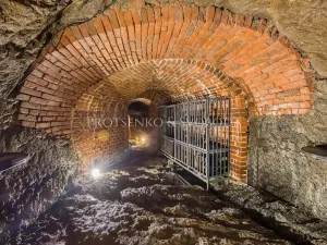 Prodej činžovního domu, Třebíč, Blahoslavova, 533 m2