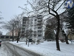 Pronájem bytu 1+1, Písek, Dr. M. Horákové, 44 m2