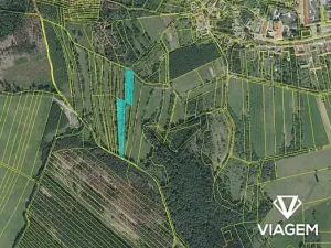 Prodej louky, Borotín, 2410 m2