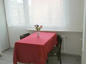 Pronájem bytu 1+1, Benešov, Nová Pražská, 46 m2