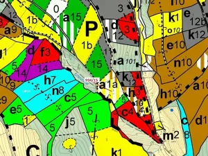 Dražba lesa, Jílové u Držkova, 3821 m2