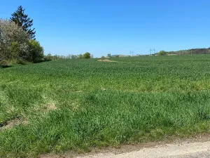 Prodej pozemku pro bydlení, Hamr na Jezeře, 1015 m2