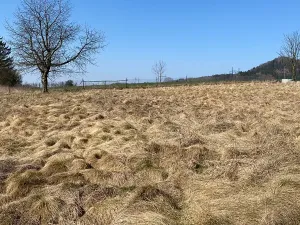 Prodej pozemku pro bydlení, Hamr na Jezeře, 875 m2
