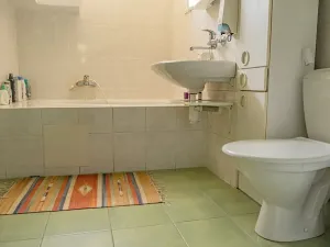 Prodej rodinného domu, Plzeň, Strnadova, 315 m2