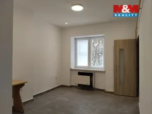 Pronájem obchodního prostoru, Ústí nad Labem - Klíše, Masarykova, 32 m2