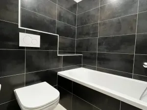 Pronájem bytu 1+1, Ústí nad Labem - Ústí nad Labem-centrum, Masarykova, 40 m2