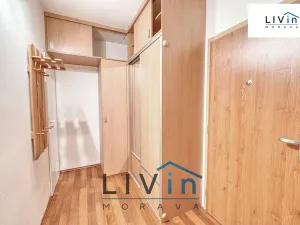 Prodej bytu 1+1, Olomouc, Pionýrská, 45 m2