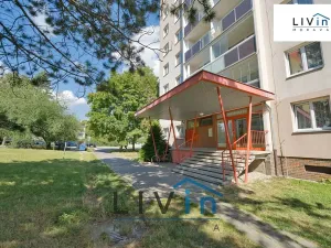 Prodej bytu 1+1, Olomouc, Pionýrská, 45 m2