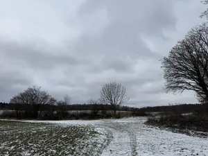 Dražba pole, Vyškov, 89174 m2