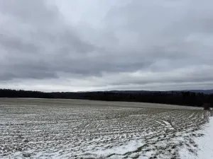 Dražba pole, Vyškov, 89174 m2