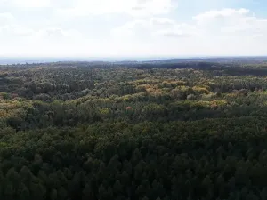 Prodej výrobních prostor, Seletice, 1508 m2