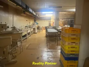 Pronájem výrobních prostor, Příbram, Plzeňská, 350 m2