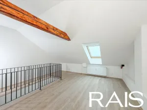 Prodej bytu 2+kk, Brno, Křenová, 65 m2