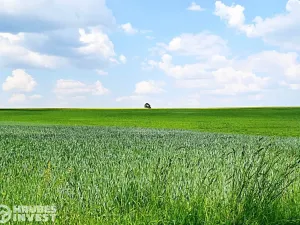 Prodej pozemku pro bydlení, Dlouhá Loučka, 1515 m2