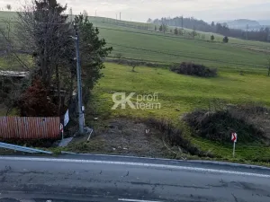 Prodej pozemku pro bydlení, Velká Polom, Opavská, 1004 m2