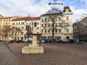 Prodej bytu 2+kk, Praha - Žižkov, Prokopovo náměstí, 78 m2