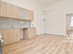 Pronájem bytu 3+1, Brno - Staré Brno, Nové sady, 130 m2