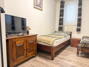 Pronájem ubytování, Valtice, Josefská, 251 m2