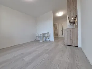 Pronájem bytu 1+kk, Brno, třída Generála Píky, 35 m2