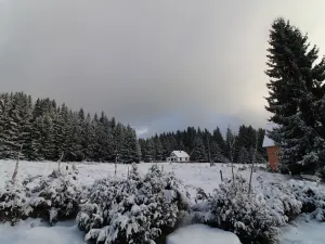 Prodej ubytování, Potůčky, 750 m2