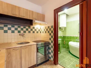 Prodej bytu 1+1, Ústí nad Labem, Na Popluží, 45 m2