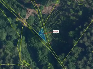 Dražba lesa, Jílové u Držkova, 88 m2