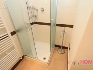 Pronájem bytu 3+kk, Praha - Vinohrady, Slezská, 74 m2