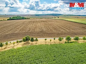 Prodej pole, Žatčany, 25490 m2